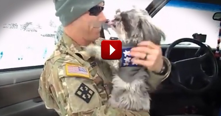 Soldiers Get Best Welcome Home from their Furry Friends