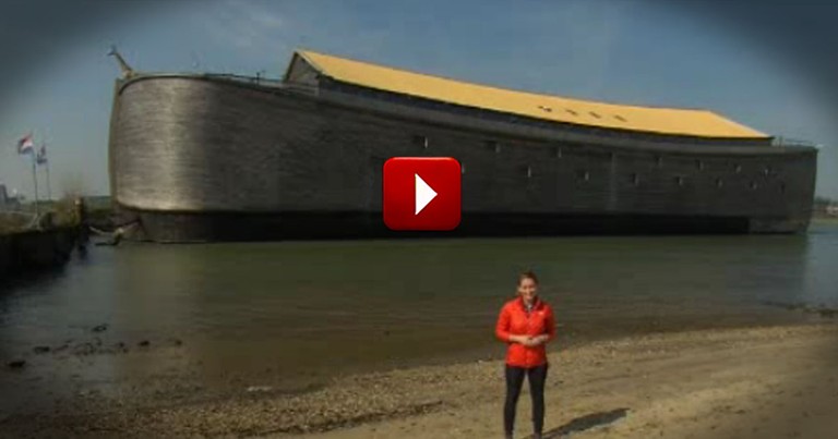 This is the Stuff Dreams Are Made of--Literally. You've Got to Meet this Real-Life Noah.