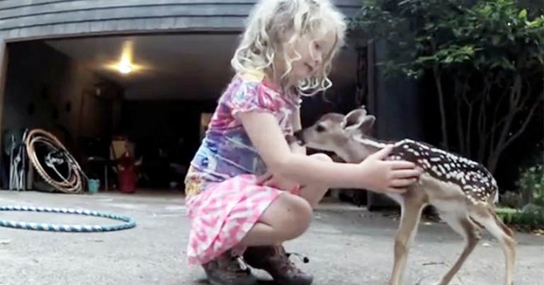 Adorable Little Girl is a Deer Whisperer and Bonds with Fawn