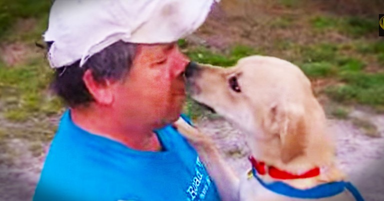 These Dogs Were Destined To Die. Until They Met A Man Who'd Do Anything To Save Them.