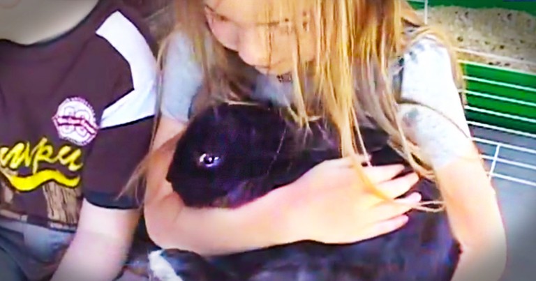 Someone STOLE A Pre-School's Bunny. And Now I Can't Stop Smiling At How He Was Returned!