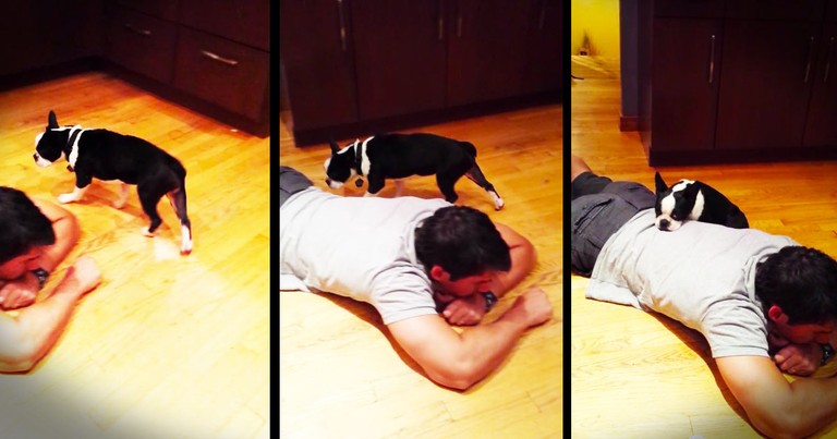 This Man Didn't Budge From The Kitchen Floor For 20 Minutes. All To Comfort His Scared Rescue Pup.