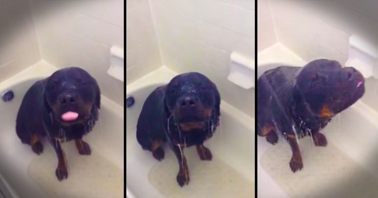 This Woman Knew Exactly What She'd Find In Her Shower. But It Surprised Me, And It's ADORABLE!