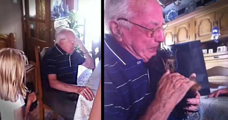 After Losing His Wife Of 63 Years, This Grandpa Just Got A Sweet Surprise - And I'm Bawling BUCKETS!
