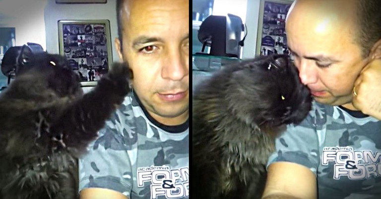Apparently, This Sweet Kitty Wants Attention. And HOW She Gets It Is The Cutest Thing Ever!