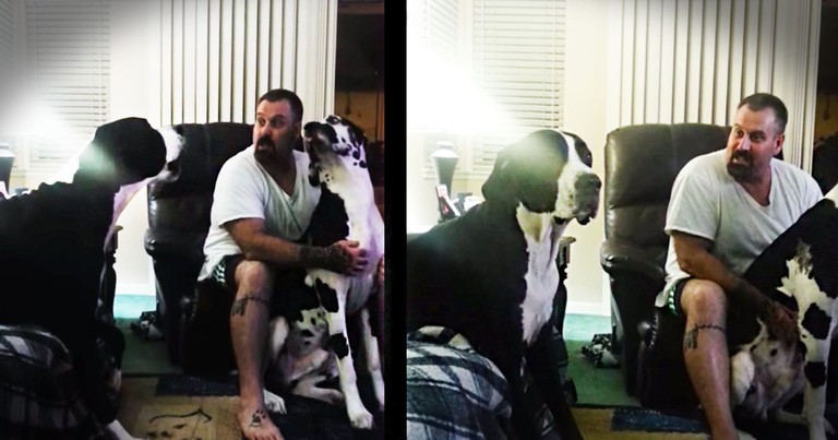 Apparently, This Pup REALLY Wants Wants Something From His Human. And How He 'Asks' Is Just Too Cute