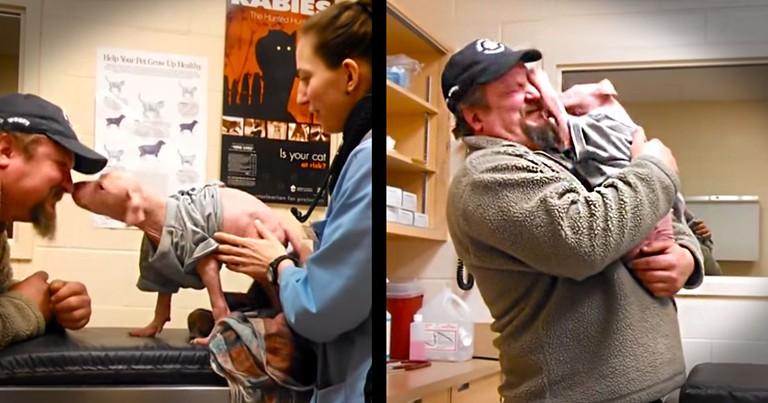 The Truth About This Reunion Will Melt Your Heart To A Million Pieces. This Pit Bull Is SO Grateful!
