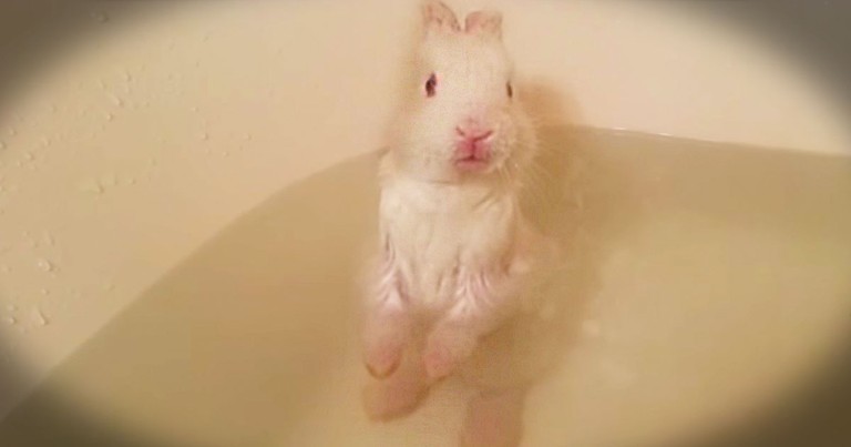 This Little Guy Is Taking His Very First Bath. And Yes, It Is Just As Precious As You Think It'll Be