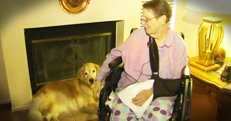 When This 76-year-old Fell And Was Stuck For 2 Days She Was Saved By 2 Furry Angels. WOW!