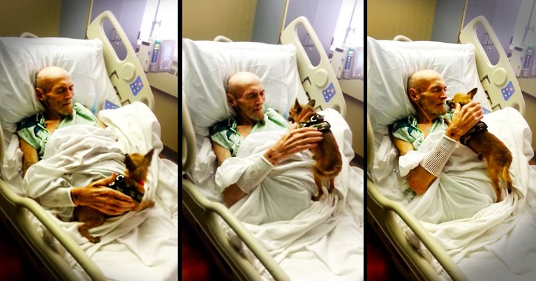 This Elderly Man Had 1 Last Wish. And This Sweet Reunion Left The Entire Room In TEARS!