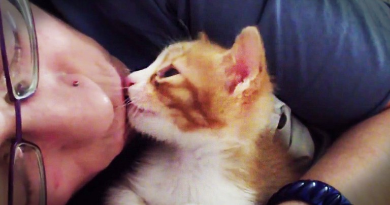 This Kitty Has The Most ADORABLE Bedtime Routine. I'm PURRING With Delight!