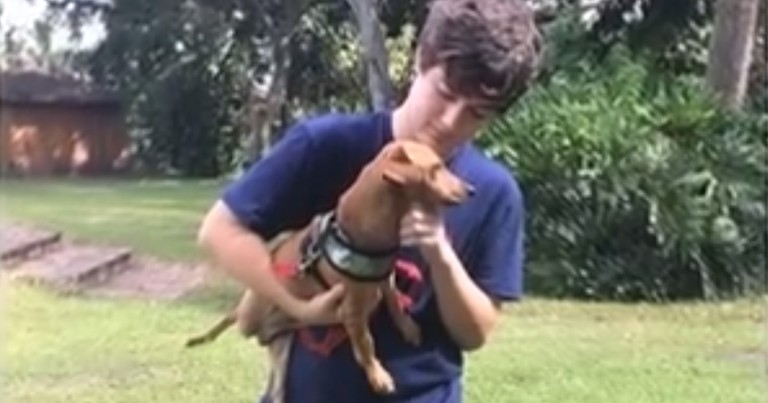 After A Tragic Accident, This Teen Was Down On His Luck. Until A 3-Legged Pup Changed Everything!