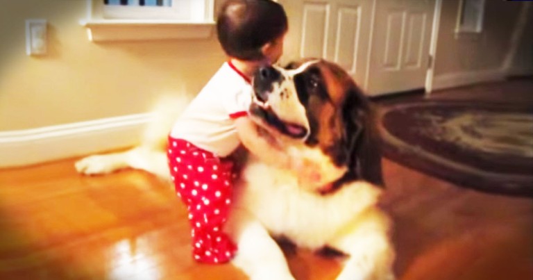 What Happens The First Time A Baby Hugs A Dog? THIS Happens And It Left My Heart In A Puddle.