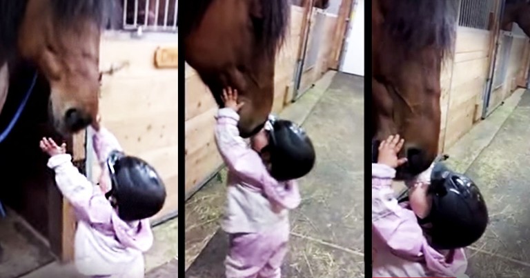 Precious Baby Kisses Her Horse Friend Goodbye--Aww!
