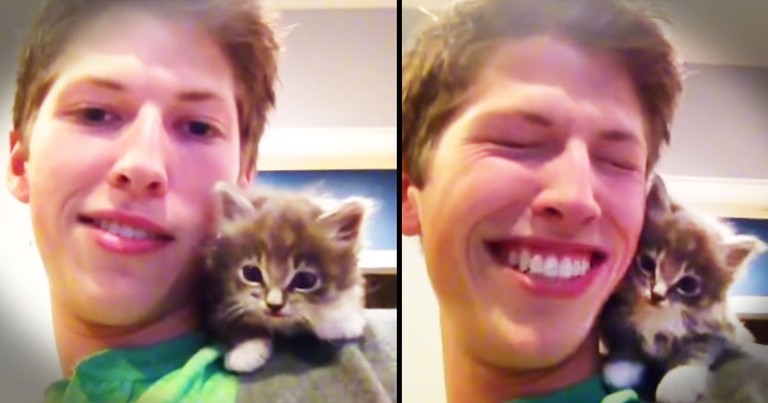 Sweet Kitten's First Meow Is Adorable