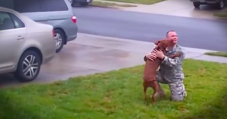 Pup Excitedly Welcomes Her Soldier Back Home--Aww!
