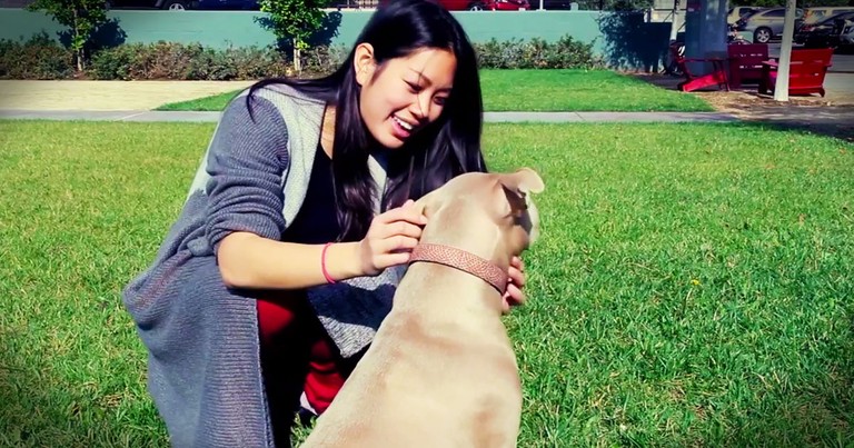 People Meet Pit Bulls For The First Time