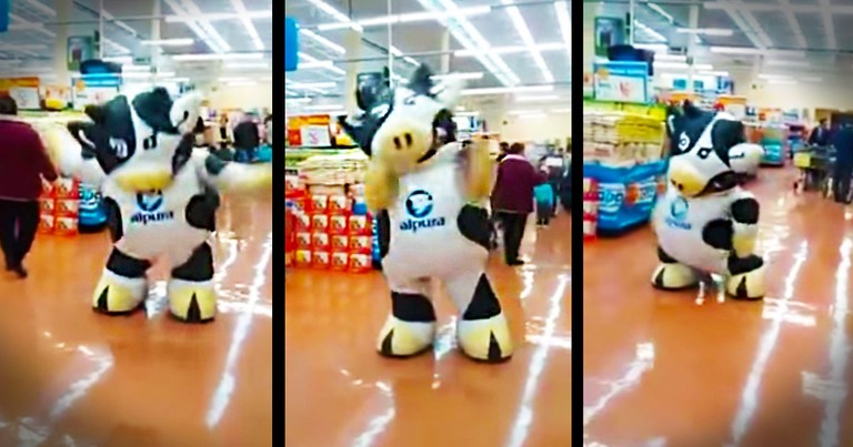 1 Cow Flash Mob Busts A MOOve At The Grocery Store