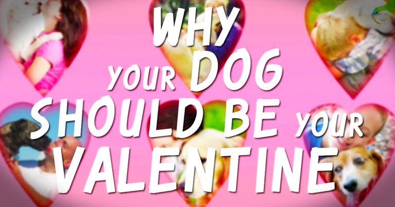 Why Pups Make The BEST Valentines