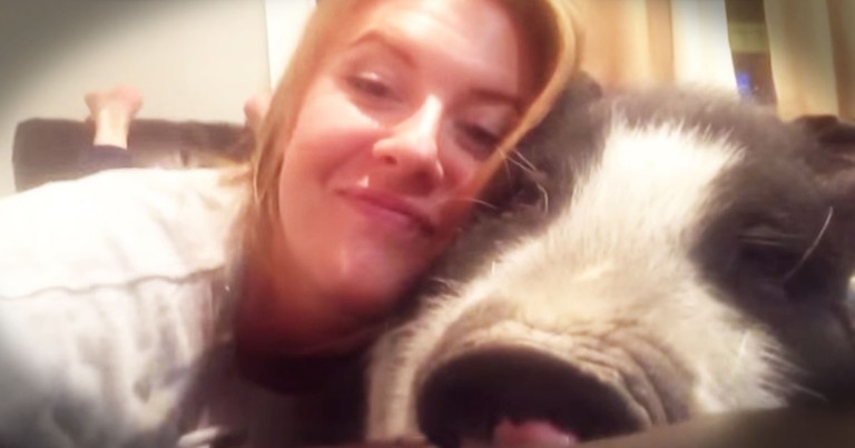 Apparently, This Piggy Isn't A Big Fan Of Snuggles--LOL!