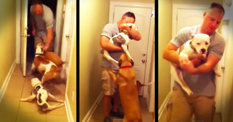 Pup Who Can't Walk Rushes To Reunite With Her Airman Daddy--Awww!