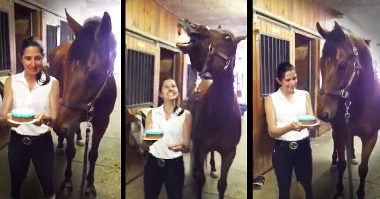 What This Horse Did After They Sang Happy Birthday--AWESOME!