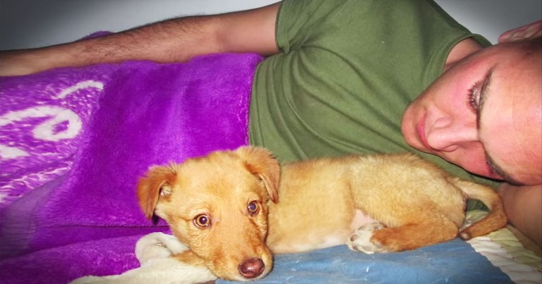 Marine Rescued A Shivering Puppy, And NOW They're Going To Reunite!