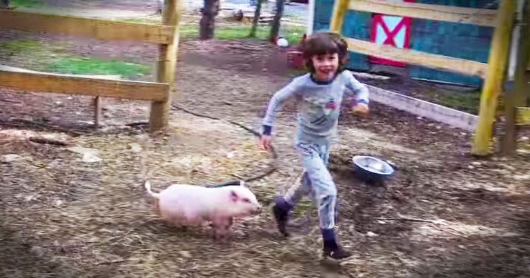 Playtime With This Pig Couldn't Be Cuter!