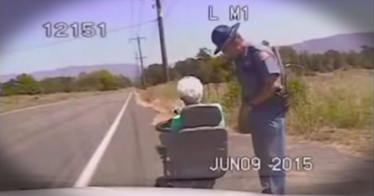 They Thought This Officer Was Pulling Over A Granny. The Truth Is So Much Better!