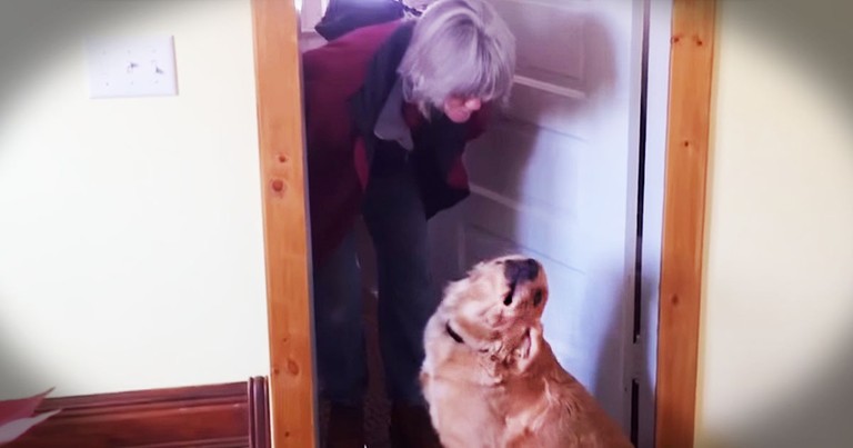 She Wanted Just One Kiss. Her Dog's Reaction Is Priceless!