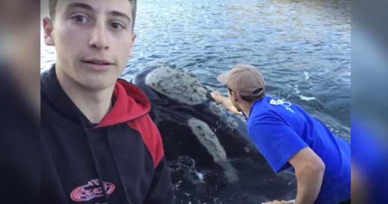 They Answered This Whale's Plea For Help, And His 'Thank You' - STUNNING