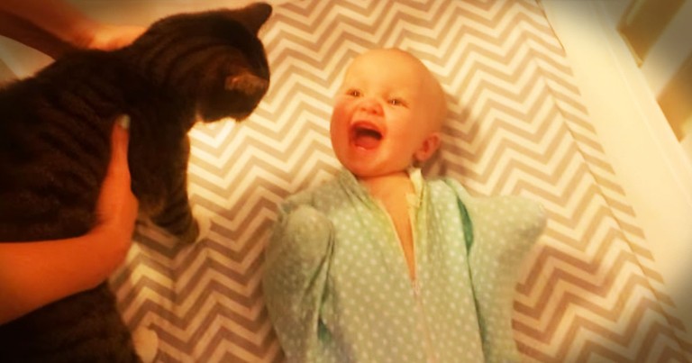 When Her Cat BFF Shows Up, The CUTEST Thing Happens!