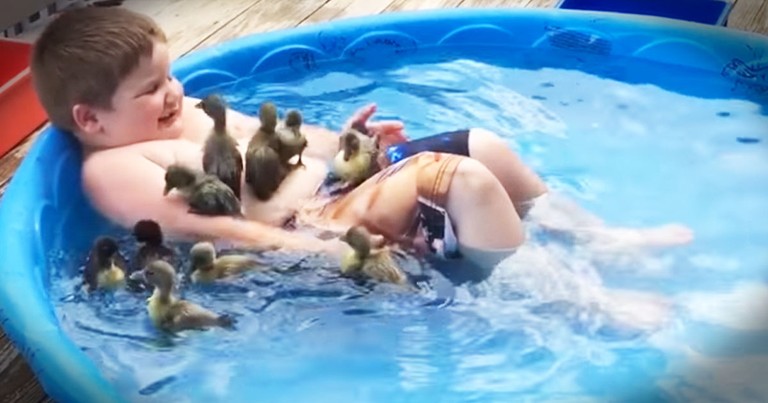 Little Boy In Pool Full Of Ducklings Is Living The Dream