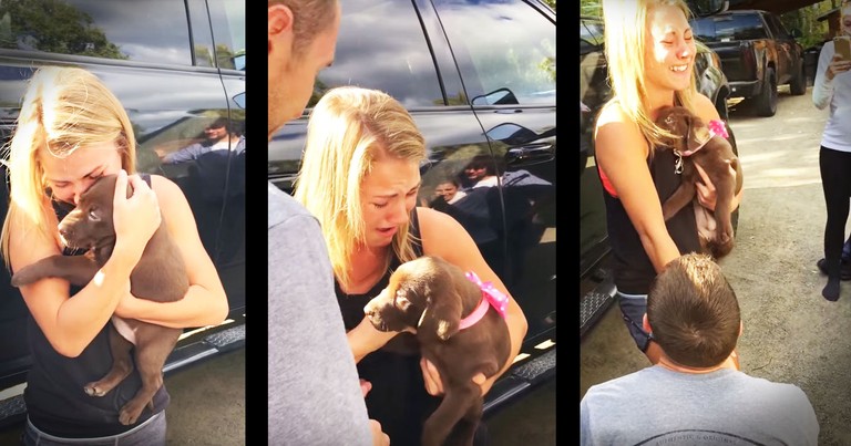 Puppy Gift Turns Into Surprise Proposal