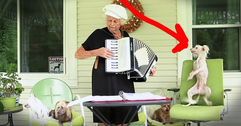 Pup Dancing To This Granny's Accordion Will Make You Smile