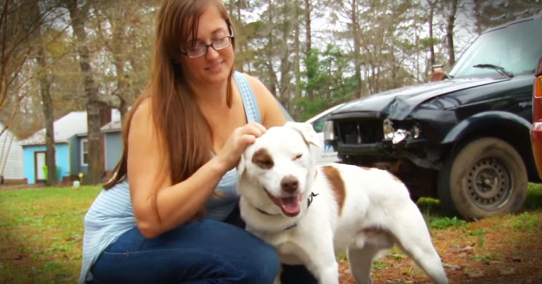 How Strangers Banded Together To Get This Dog Home Will Warm Your Heart