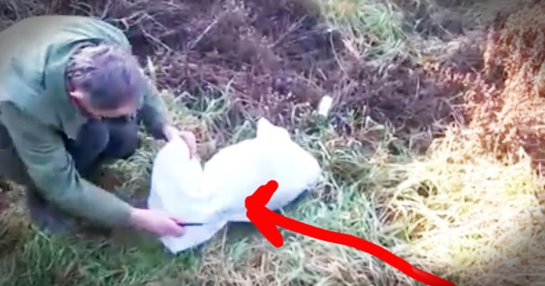 He Found A Dog In A Trash Bag And The Rescue Will Give You Hope