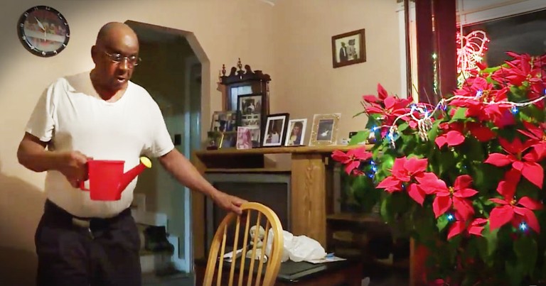 He's Grown This Poinsettia For 19 Years--All For His Late Wife