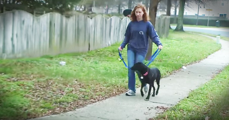 Dog Leads Owner To A Missing Woman And Saves Her Life
