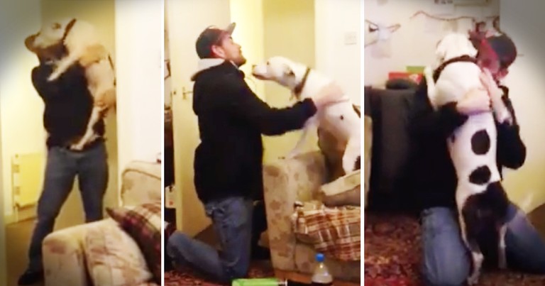 Rescue Dog's Welcome Home Is Too Cute