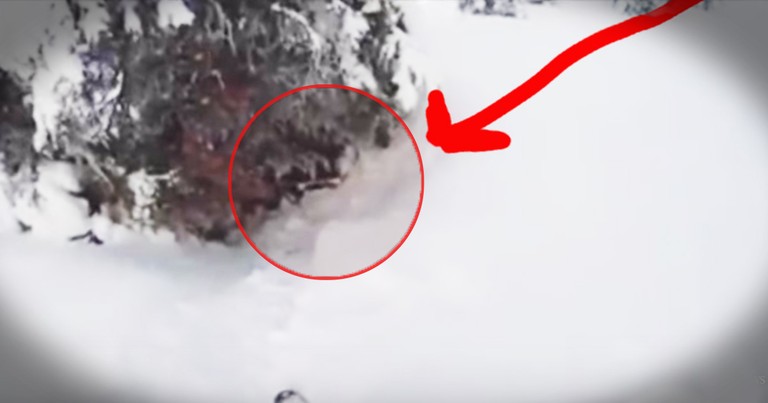 Father's Ski Rescue Of His Son Is Nail-Bitting