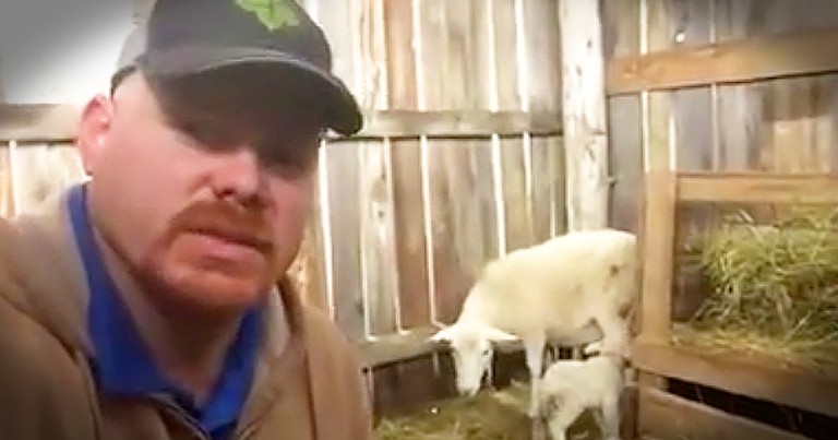 Farmer's Lesson On Rejection Inspired By Sheep Is Eye-Opening