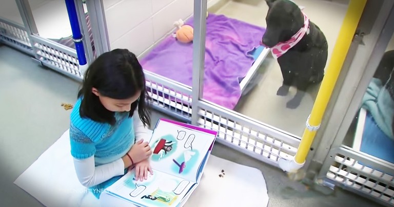 Kids Are Reading To Shelter Dogs And It's For The BEST Reason