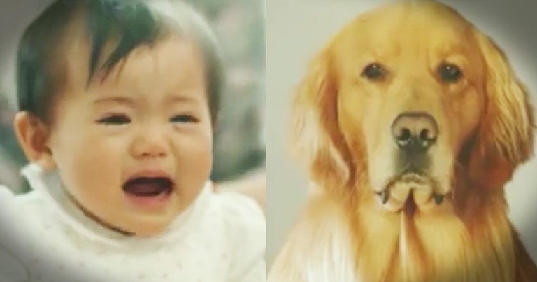 Dog's Disguise For The New Baby Will Melt Your Heart