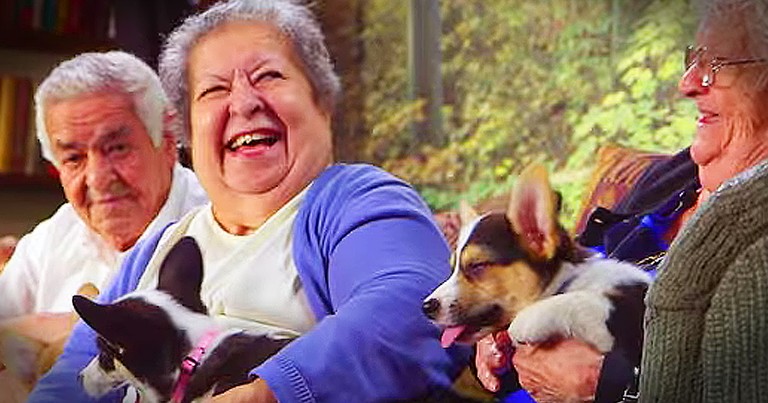 Playful Puppies Bring Smiles To Retirement Home