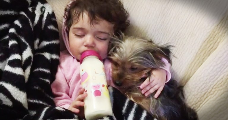 Baby Girl's Puppy Snack-Time Snuggles Are Too Cute To Miss