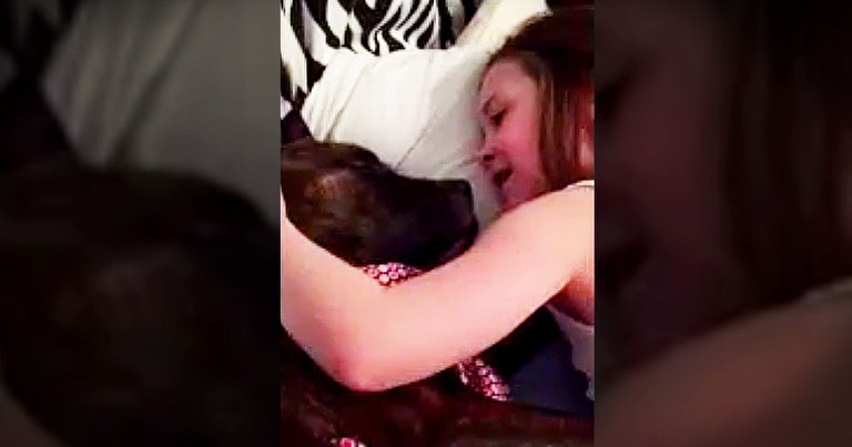 Little Girl Singing Her Foster Dog To Sleep It SO Sweet