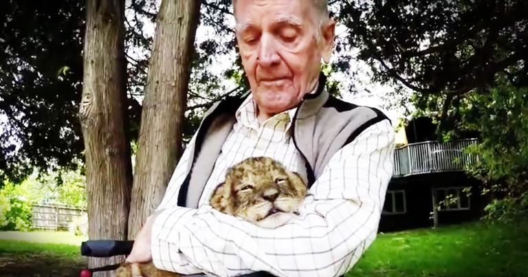 Veteran's Emotional Moment With A Baby Lion Will Make Your Day