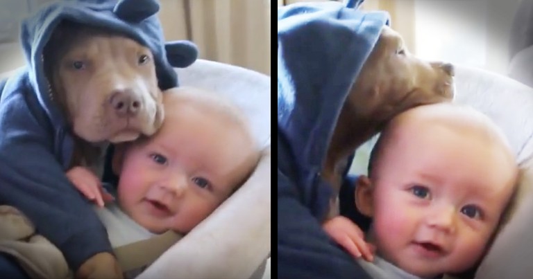 Baby And Puppy's Cuddle Is Too Cute