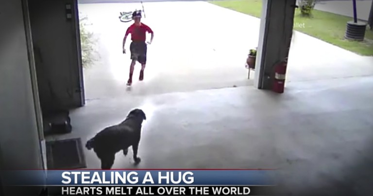 Little Boy Sneaks Into A Garage To Hug A Dog